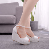 Slope Sandals Women's Summer Fashion Trend 2025 New Lace Fish Mouth Fine With A Word Buckle Casual Ladies Sandals HZ0115