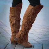 Xiyin New 2025 Winter New Coarse And Large-Size Long-Twin Esossel Boots Women's Boots HZ0115