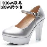 Round Head Buckle Waterproof Table 8CM High Heel Women's Shoes Thick-Soled Model Show Shoes Coarse Heel Work Shoes Silver Single Shoes HZ0115