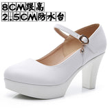 Round Head Buckle Waterproof Table 8CM High Heel Women's Shoes Thick-Soled Model Show Shoes Coarse Heel Work Shoes Silver Single Shoes HZ0115