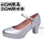 Round Head Buckle Waterproof Table 8CM High Heel Women's Shoes Thick-Soled Model Show Shoes Coarse Heel Work Shoes Silver Single Shoes HZ0115