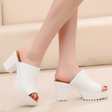 Fish Mouth High And Fitting Room Slippers Summer Wearing Rough And Waterproof Table Comfortable Cool Slippers Large Size 40-43 Yards HZ0115
