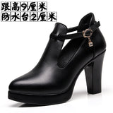 New Pointed Deep-Mouth High-Heeled Shoes With Thick Heel Waterproof Table Women's Shoes Thick-Sole Fashion Stage Performance Single Shoes HZ0115