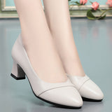 Soft Sole Comfortable Flight Attendant Working Shoes Women's Black Professional Heel Mom Shoes Single-Mouthed Shoes Round Scalp Shoes HZ0115
