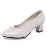 Soft Sole Comfortable Flight Attendant Working Shoes Women's Black Professional Heel Mom Shoes Single-Mouthed Shoes Round Scalp Shoes HZ0115