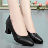Soft Sole Comfortable Flight Attendant Working Shoes Women's Black Professional Heel Mom Shoes Single-Mouthed Shoes Round Scalp Shoes HZ0115