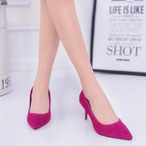 Wishebay Shoes Light-Mouthed Sharp Single Shoes Fine Heel Velvet Large-Size High Heels Women's Shoes HZ0115