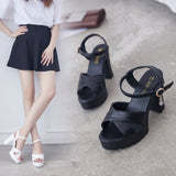 Sandals Women 2025 Summer New Korean Version Of High-Heeled Sandals One-Word Buckle Fashion Coarse Women's Sandals HZ0115