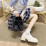 Single-Shoe Women's 2025 New Mary Jane Women's Shoes Thick Heel Thick-Soled JK Uniform Single-Shoe High-Heeled Women's Retro English Style HZ0115