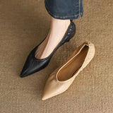 Giant Good Wear ~ Temperament Famous Fine Heel High Heels Women 2025 Spring And Summer New Fashion Pointy Single Shoes HZ0115
