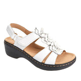 2025 Summer Women's Sandals New Hollow Slopes And Fish Mouth Flowers Casual Comfortable Sandals Women's Large Size Shoes HZ0115