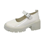 Single-Shoe Women's 2025 New Mary Jane Women's Shoes Thick Heel Thick-Soled JK Uniform Single-Shoe High-Heeled Women's Retro English Style HZ0115