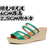 Painted Plop And Ultra-High Heel Waterproof Table Pine Cake Thick Bottom Fish Mouth Sandals Night Shop Sexy Transparent With Fashion Slippers Woman HZ0115