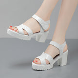 Painted Leather High Heel Waterproof Sandals Women Fashion Crocodile Pattern Walking Shoes Summer Coarse Heel Magic Sticky H Women's Shoes HZ0115