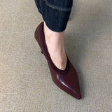 French Retro V-Mouth Fine Heel Single-Shoe Female Tip Temperament Pedal Professional High Heels HZ0115