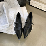 French Low-Heeled Shoes Small Fragrant Wind Tip Single Shoes Women 2025 Spring And Autumn Mary Jane Women's Shoes Coarse Fashion HZ0115