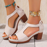 2025 Summer Women's High-Heeled Sandals Wear Coarse Heeled Sandals HZ0115