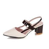 2025 Spring And Summer New Single-Shoe Women's Sharp Head Thick-Heeled Women's Shoes Heeled High Heels Hollow Women's Sandals HZ0115