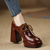Coarse Heel High-Heeled Women 2025 Spring New Waterproof Table Lace Women's Shoes Temperament Coarse Commuting Deep Mouth Single Shoes HZ0115