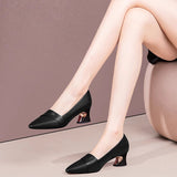 Vintage Pointed Light Mouth Heel Single Shoes Women's Coarse Leather Shoes 2025 Spring And Autumn New Fashion Large Size Women's Shoes HZ0115