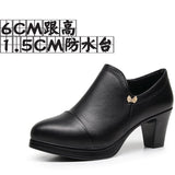 Sharp-Headed Coarse Waterproof Table Deep Mouth Single Shoes Women's Spring And Autumn Dress Work Shoes Side Zipper Fashion Singles High Heels HZ0115