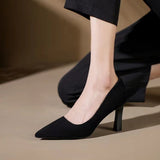 High-Heeled Women 2025 New Summer Black Fine Tip Pointy Light Mouth Velvet Career Hitchhed Temperament Single-Shoe Women HZ0115