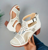 Large-Size Women's Shoes 2025 Summer New Coarse Heel High-Heeled Shoes Hollow Fish Mouth Sandals Women HZ0115