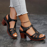 2025 Summer New Women's High-Heeled Thick-Soled Sandals Large Size Fish Mouth Coarse Heel With Slope Sandals HZ0115