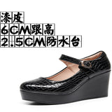 Painted Leather Stone Slope Heel Single Shoe Round Head Light Mouth Work Shoes Thick-Soled Waterproof Table Model Show High Heels Women HZ0115