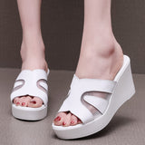 Fashion Outside The Slope And A Word Drag Summer New Pine Cake Thick Bottom Waterproof Table Hollow High And Fish Mouth Mesh Slippers Woman HZ0115