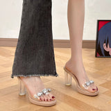 High-Heeled Women Wear 2025 Summer New French Thick Heel Water Drill Transparent Crystal Sandals Women Slippers Women Shoes HZ0115