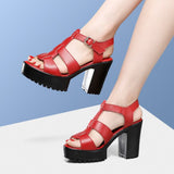 High-Heeled T-T-Slace Sandals Waterproof Table Thick Soles 41-43 Yards Cheongsam Runway Shoes Large-Size Coarse Heel Waterproof Table Women's Shoes HZ0115