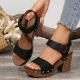 2025 Summer New High-Heeled Sandals Women's Shoes With Fish Mouth Sandals Belt Buckle High Heel Casual Sandals HZ0115