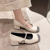 High-End Casual High-Retro French Single-Shoe Small Scented Silver Lily One-Word Temperament Light-Mouthed Mary Jane Shoes HZ0115