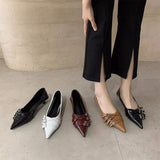 Sharp-Headed Little Shoes Women 2025 New Spring Fine Heel Low Heel Single Shoes French Fashion Kita And Mary Jane Women's Shoes HZ0115