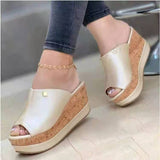 Summer New Lady Thick Bottom Slope And Slippers Fish Mouth Thick Bottom Slope And Cold Slippers Women HZ0115