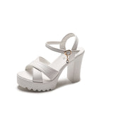 Sandals Women 2025 Summer New Korean Version Of High-Heeled Sandals One-Word Buckle Fashion Coarse Women's Sandals HZ0115