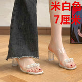 High-Heeled Women In The Summer Of 2025 New Transparent And Fashion Sandals Coarse Heel Through The Water-Drilling Slippers HZ0115