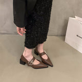 Sharp High-Heeled Black Mary Jane Single Shoes Women's Shoes 2025 New Spring And Autumn Winter French Retro Small Leather Shoes HZ0115