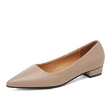 Simple Pointed Light-Mouthed Square Heel Small Leather Shoes Women Business And Leisure Elegant Commute Single Shoes Fashion High Heels Women Four Seasons HZ0115