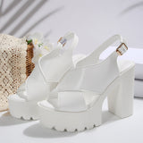 Thick-Bottomed High-Heeled Sandals Women 2025 Summer New Cross-Duced Large-Size Fish-Mouthed Sandals HZ0115