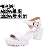 Thick And Thick Waterproof Table Sandals Women High Heel With Heel Toe Model Show Shoes Buckle With Fish Mouth Sandals Shoes Women HZ0115