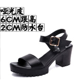 Thick And Thick Waterproof Table Sandals Women High Heel With Heel Toe Model Show Shoes Buckle With Fish Mouth Sandals Shoes Women HZ0115
