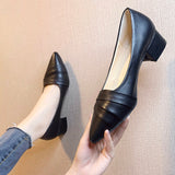 Women's Business Side Heel Single Shoe Tips Heel Small Leather Shoes Four Seasons Elegant Fashion High Heels Wrinkles HZ0115