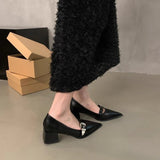 In The Autumn Of 2025, The New Pointed Leather Shoes Women's Shoes Coarse Heel French Fashion Small Small Mouth Thick Heel Single Shoes Women HZ0115