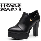 Sharp-Headed Coarse Waterproof Table Deep Mouth Single Shoes Women's Spring And Autumn Dress Work Shoes Side Zipper Fashion Singles High Heels HZ0115