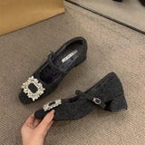 French Plus Plus Gray Mary Jane Hairy Shoes Women's Shoes 2025 Autumn And Winter Temperament High Heel Square Drill Single Shoes HZ0115