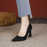 High-Heeled Women 2025 New Summer Black Fine Tip Pointy Light Mouth Velvet Career Hitchhed Temperament Single-Shoe Women HZ0115