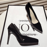 2025 Spring New Patent Leather Naked Ten Cm High Heels Women Waterproof Table With 12 Cm Pointed Women's Single Shoes HZ0115