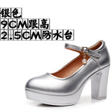 Anti-Slip 6Cm Silver Heeled Show Shoes Thick-Singing Leather Shoes Thick-Soled Model Single-Shoe Large-Size Working Shoes HZ0115